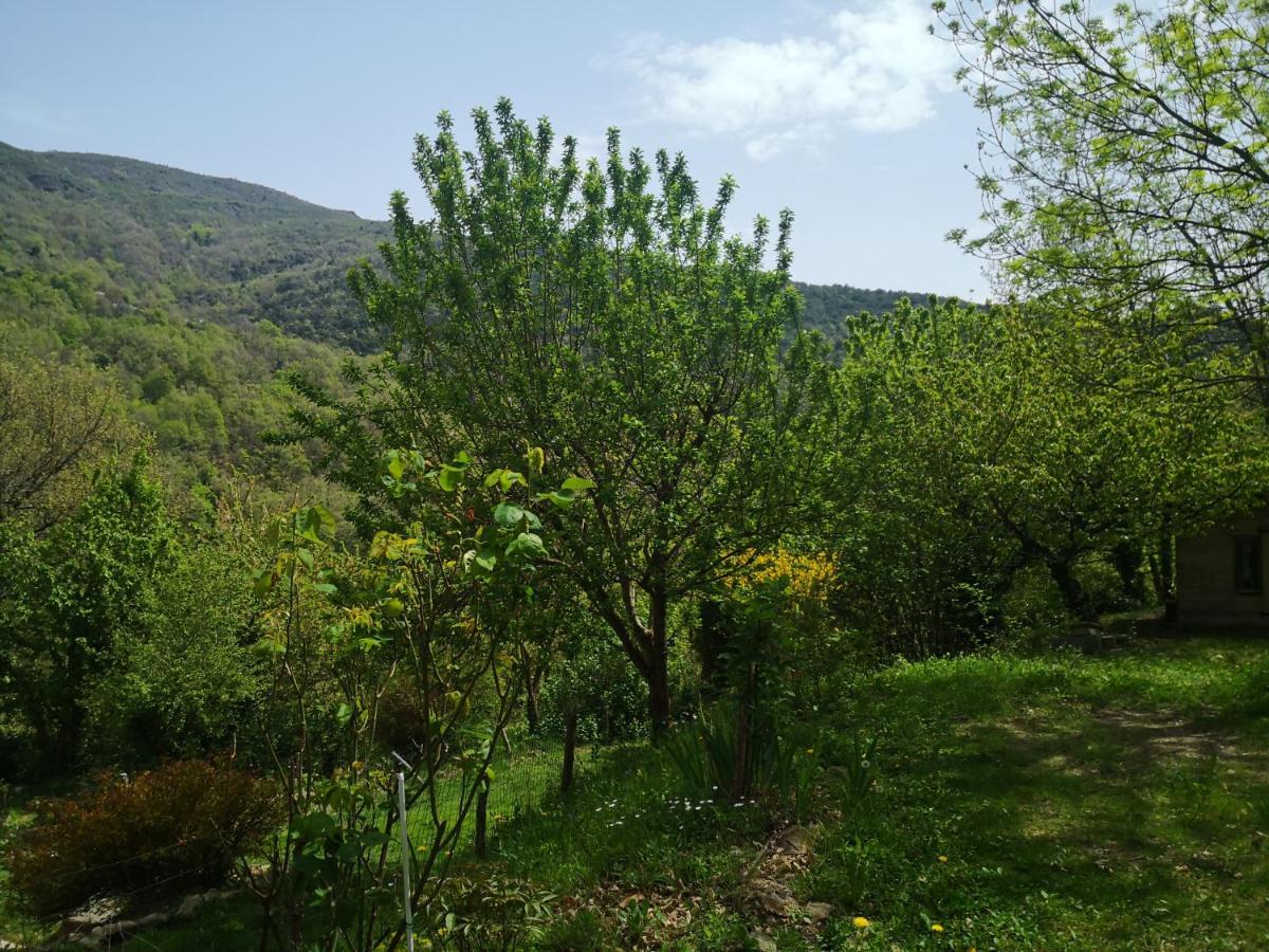 Font-Fresca Location Βίλα Baillestavy Εξωτερικό φωτογραφία